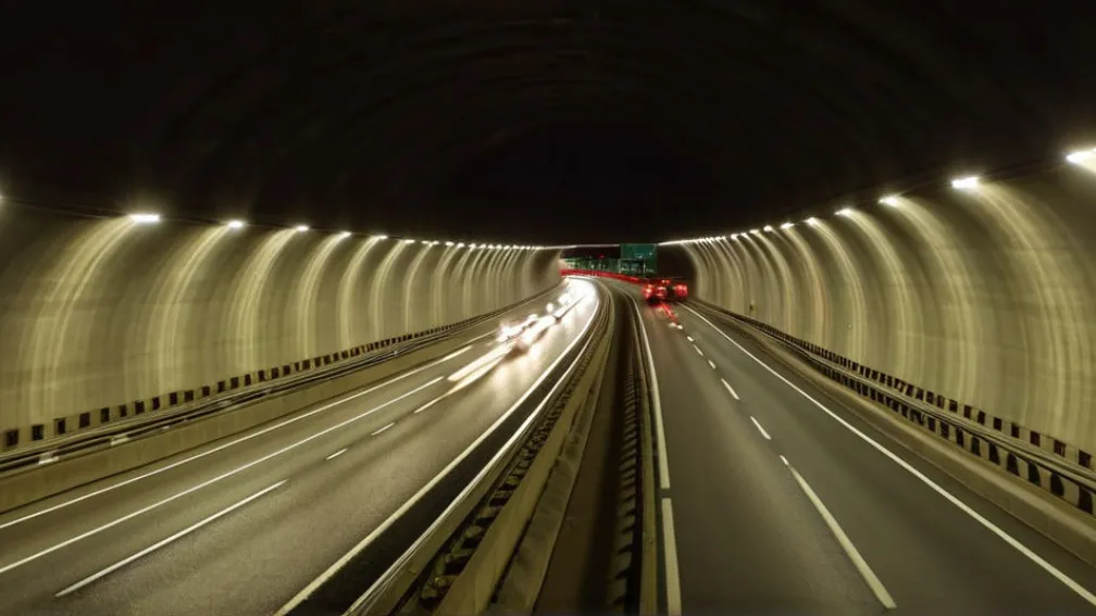 Собака спасена из оживленного Бостонского туннеля во время часа пик