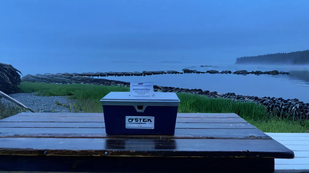 Грэм Платнер: Кандидат в Сенат США, бросающий вызов политическим нормам