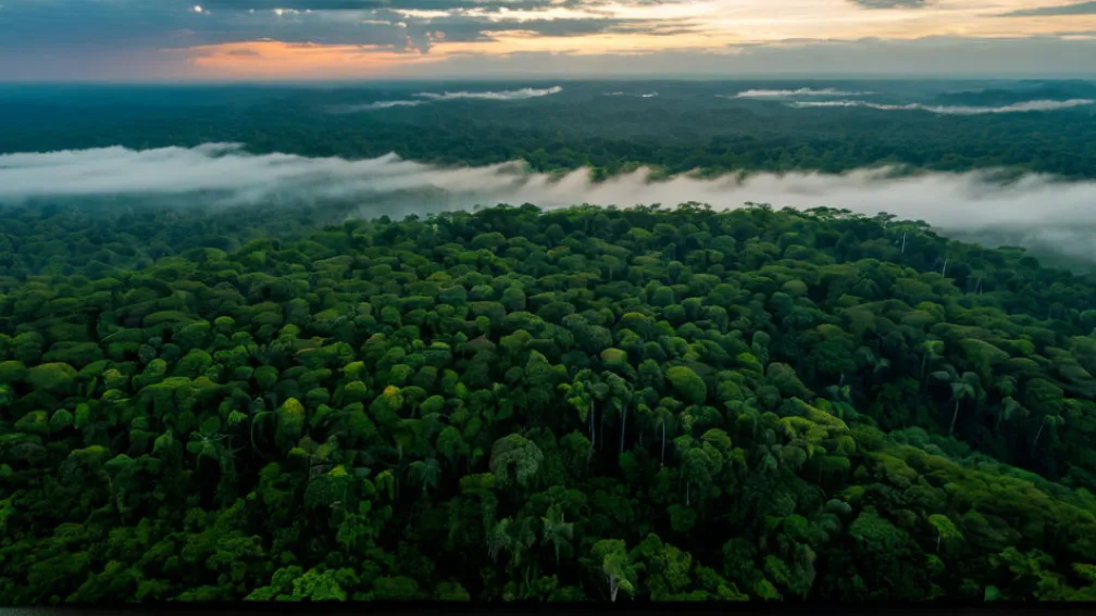 Климатические переговоры ООН выходят на новый уровень: Министры приступают к ключевым решениям на COP30