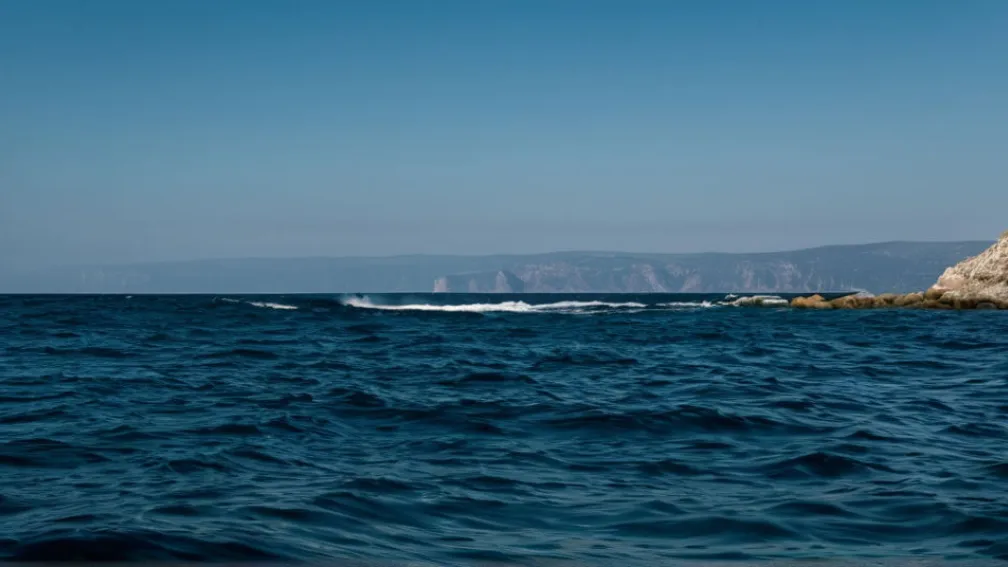 Природа Черного моря