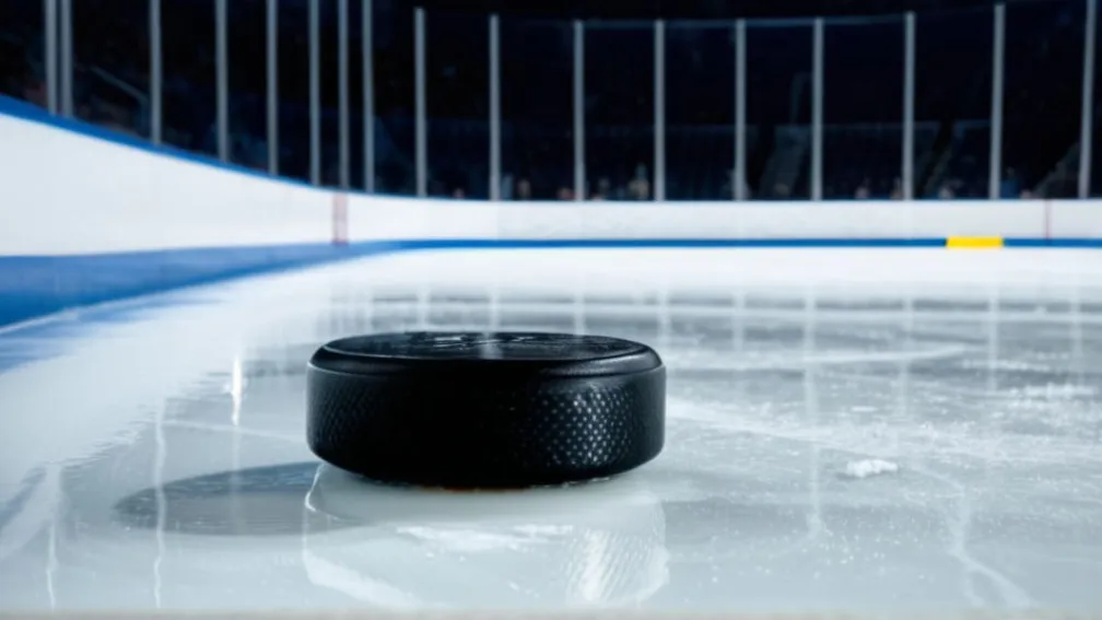 Предстоящий хоккейный поединок: «Ванкувер Кэнакс» против «Флорида Пантерз»