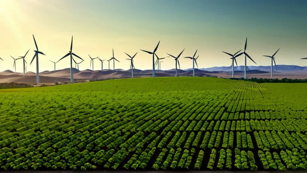 Итоги климатических переговоров в Бразилии: надежды и разочарования в борьбе с изменением климата