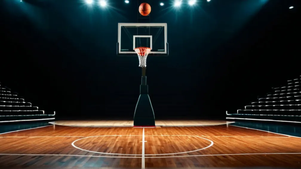 Предстоящий матч: Idaho Vandals сразятся с CSU Northridge Matadors