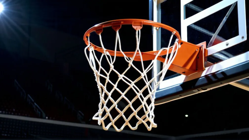 Баскетбольный Матч: "Ле Мойн Делфинс" Сразятся с "Бингхэмтон Беркэтс"