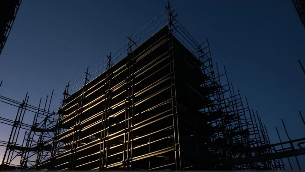 Гонконг защищает бамбуковые леса после смертоносного пожара: эксперты и жители против их запрета