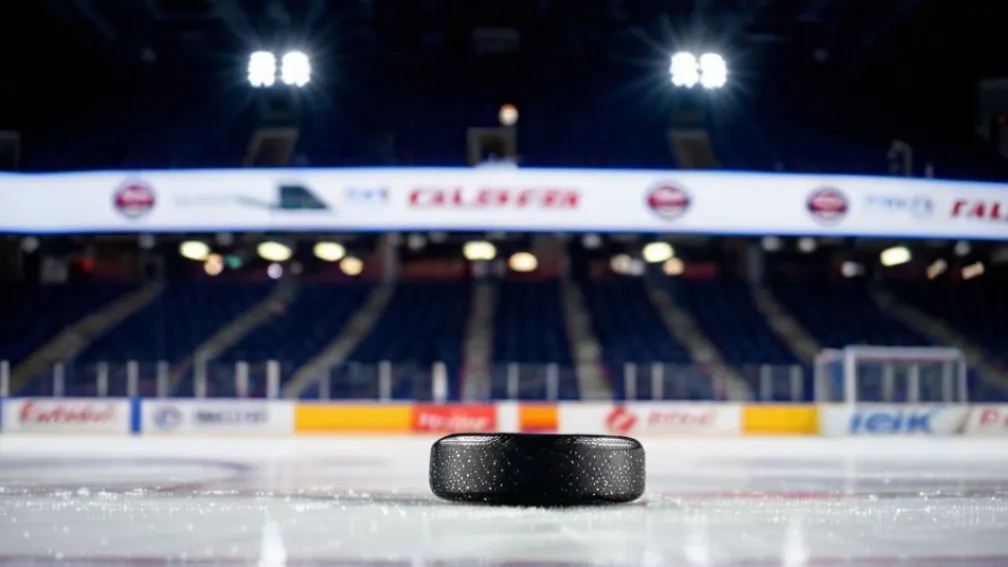 НХЛ: "Анахайм Дакс" попытаются прервать серию поражений на выезде против "Сент-Луис Блюз"