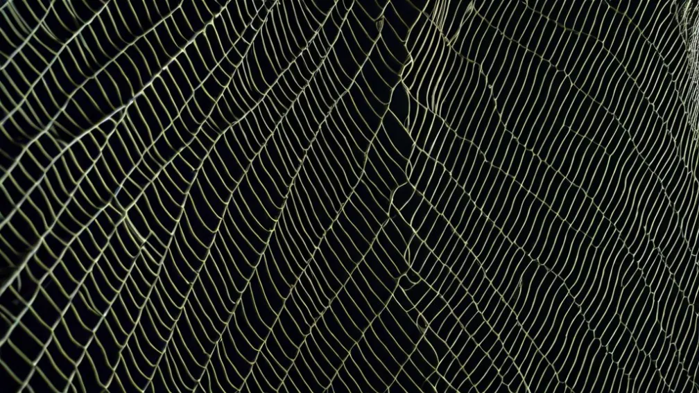 Судьба Программы SNAP: Миллионы Американцев В Ожидании Продовольственной Помощи На Фоне Правительственного Кризиса