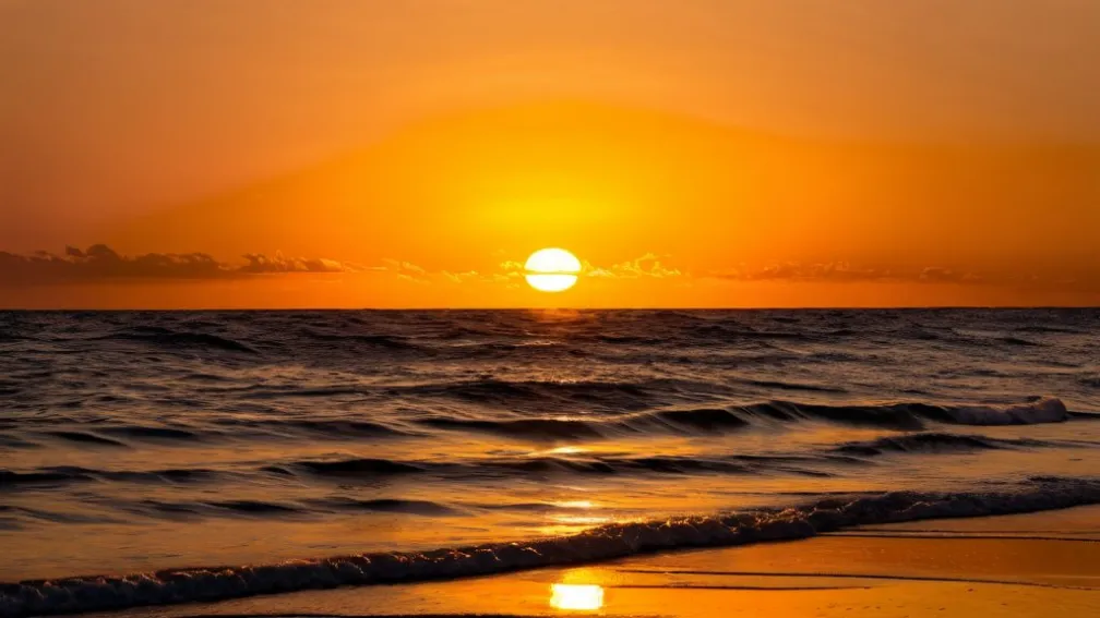 Дня Мартина Лютера Кинга для Берниси: «Это время спасения»