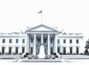 Трамп помиловал экс-конгрессмена Майкла Гримма, осужденного за налоговое мошенничество