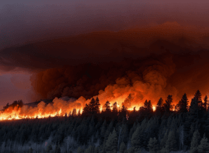 Лесные пожары угрожают Бурсе: Четвертый по величине город Турции в опасности, Южная Европа охвачена огнем