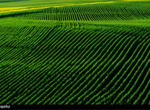 Путешествие по России: От Москвы до Байкала