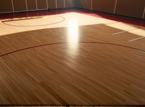 FGCU одержал убедительную победу над Чаттанугой со счетом 91-73