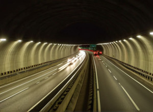 Собака спасена из оживленного Бостонского туннеля во время часа пик