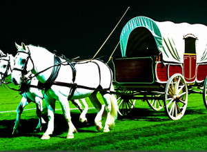 Первая коренная американка стала водителем легендарного фургона "Sooner Schooner" в Оклахоме