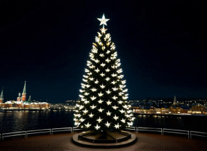 Главная Рождественская Елка Нью-Йорка: Взмывание Норвежской Ели в Рокфеллер-Центре