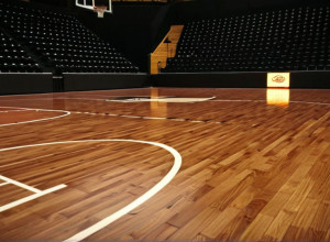 Схватка на паркете: SIU-Edwardsville Cougars бросают вызов Eastern Kentucky Colonels