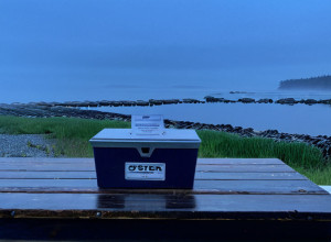 Грэм Платнер: Кандидат в Сенат США, бросающий вызов политическим нормам