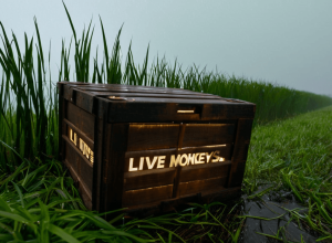 Побег лабораторных обезьян в Миссисипи: Секреты индустрии биомедицинских исследований