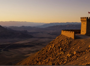 Пакистан заявляет об уничтожении 20 боевиков на границе с Афганистаном на фоне обострения напряженности