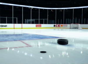 «Оттава Сенаторз» обыграли «Юта Маммут» благодаря блестящей игре вратаря Мерилайнена