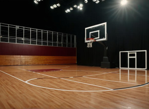 Баскетбольный матч: Samford Bulldogs против Texas Southern Tigers