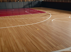 Баскетбольное противостояние: NC State против UNC Greensboro в товарищеском матче