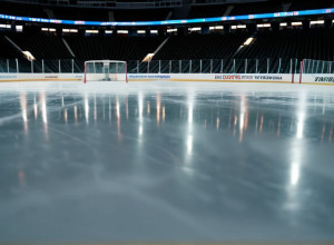 Хоккейное противостояние: "Сент-Луис Блюз" против "Калгари Флэймз" в Западной конференции