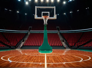 Баскетбольный поединок: CSU Bakersfield Roadrunners против Portland State Vikings