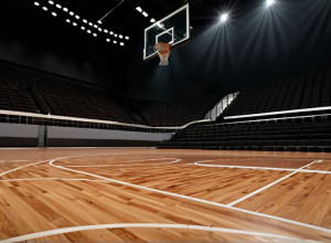 Баскетбол: Битва "Хорнетс" и "Блейзерс" в Алабаме