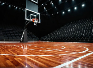 Баскетбольный поединок: Davidson Wildcats против Charlotte 49ers