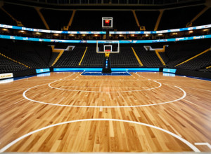 Баскетбол: Le Moyne Dolphins прагнуть перервати серію поразок у матчі проти Niagara Purple Eagles