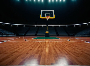 Villanova примет Sacred Heart после яркой игры Линдси