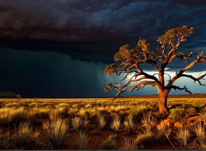 Коронер: Австралийские экстремисты, убившие полицейских, страдали общим бредовым расстройством