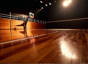 Шляпники Стэтсона сразятся с Рысями Западной Каролины: Анализ предстоящего матча