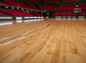 Баскетбол: "Теннесси" обыграл "Райс" 91-66, но потерял игрока из-за травмы