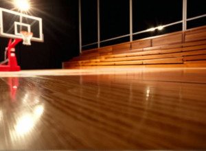 Баскетбол: Айона Гейлз встретится с УМКС Руз после впечатляющей игры Энтони