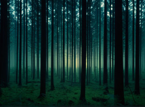 Фигурантка дела о нападении "Тонкого человека" в Висконсине пропала без вести