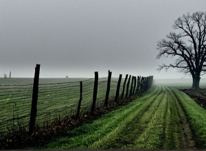 Мужчина из Мичигана предстал перед судом по делу об убийстве троих сыновей, пропавших 15 лет назад