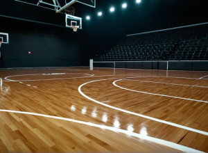 Доминирующая победа: "Бэйлор" сокрушил "Ле Мойн" со счетом 99-43 в студенческом баскетболе