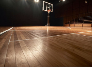 Illinois State разгромил Coastal Carolina в баскетбольном матче