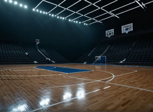 Баскетбол: Сиена победила Олбани (Нью-Йорк) со счетом 73-63 благодаря Гудрику