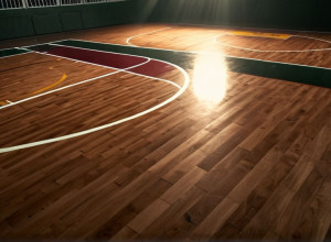 Баскетбольный матч: «Бетюн-Кукман Уайлдкэтс» против «Джексонвилл Долфинс»