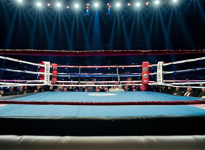 Джейк Пол против Энтони Джошуа: Боксерский поединок века на Netflix