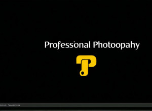 Первые шаги в изучении Python