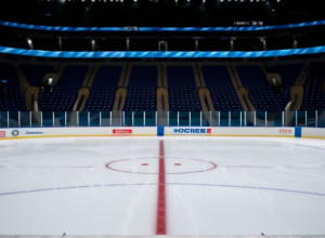 Дикие против Джетс: превью матча НХЛ после дубля Болди