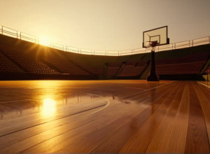 Гости из Делавэра: «Хорнетс» встретятся с «Майами Харрикейнс» в выездном матче