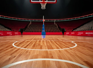 Иллинойс примет ЛИУ: Превью матча студенческого баскетбола