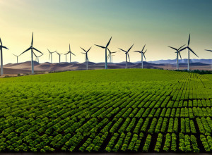 Итоги климатических переговоров в Бразилии: надежды и разочарования в борьбе с изменением климата