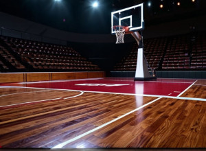 Баскетбол: South Carolina Gamecocks сразятся с Northwestern Wildcats