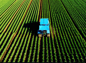 Применение искусственного интеллекта в сельском хозяйстве